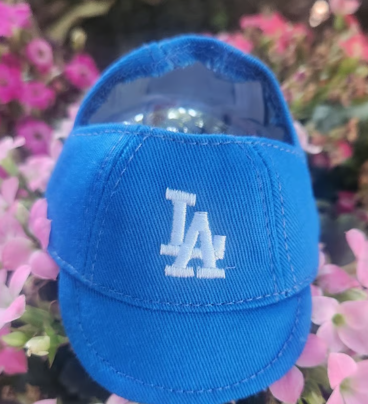 LA Baseball Cap Hat Sport